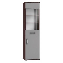 IRL - Witryna (IR-W1)