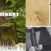 DEKORT logo