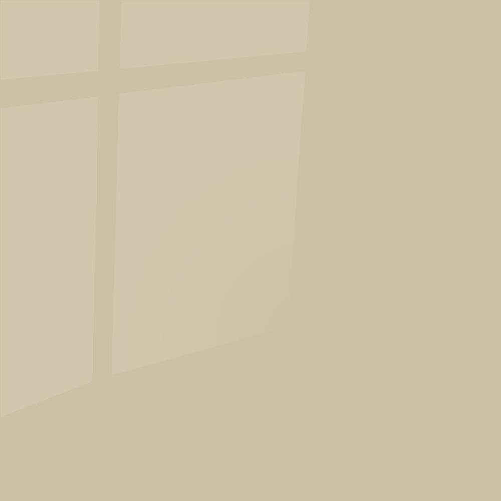 Sandgrau połysk (akryl)