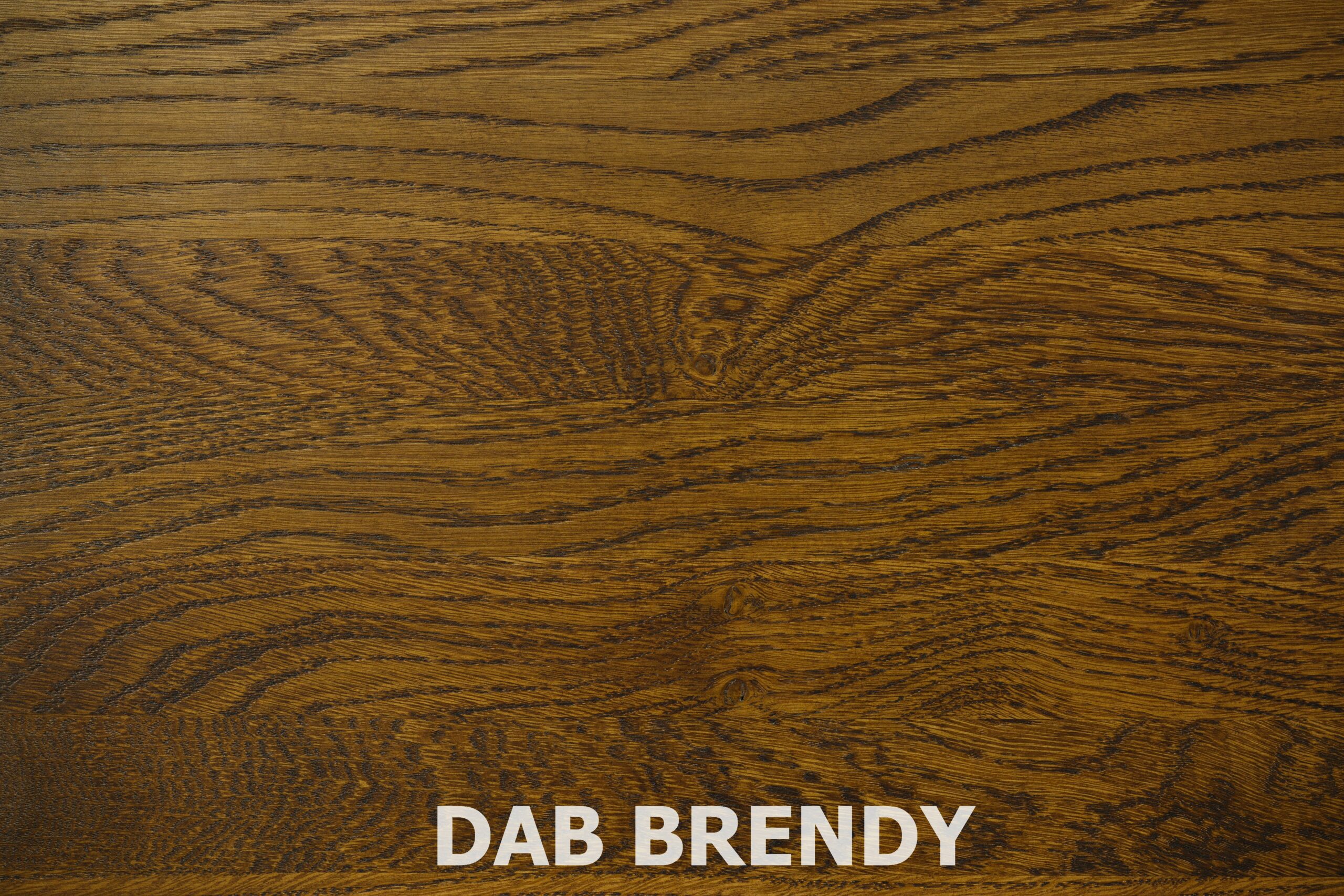 DAB BRENDY - asseri DX - dąb brendy