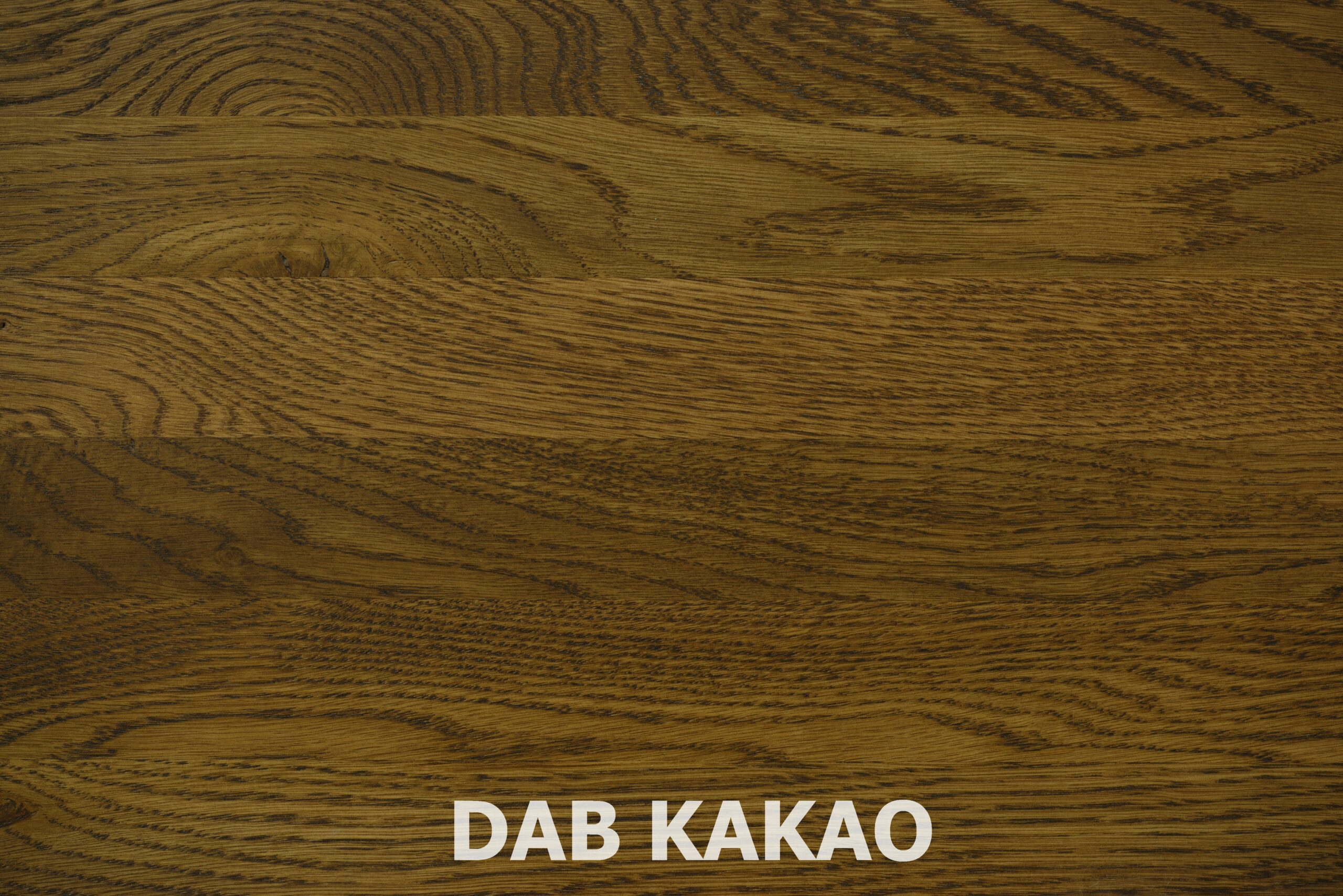 DAB KAKAO - asseri DX - dąb kakao