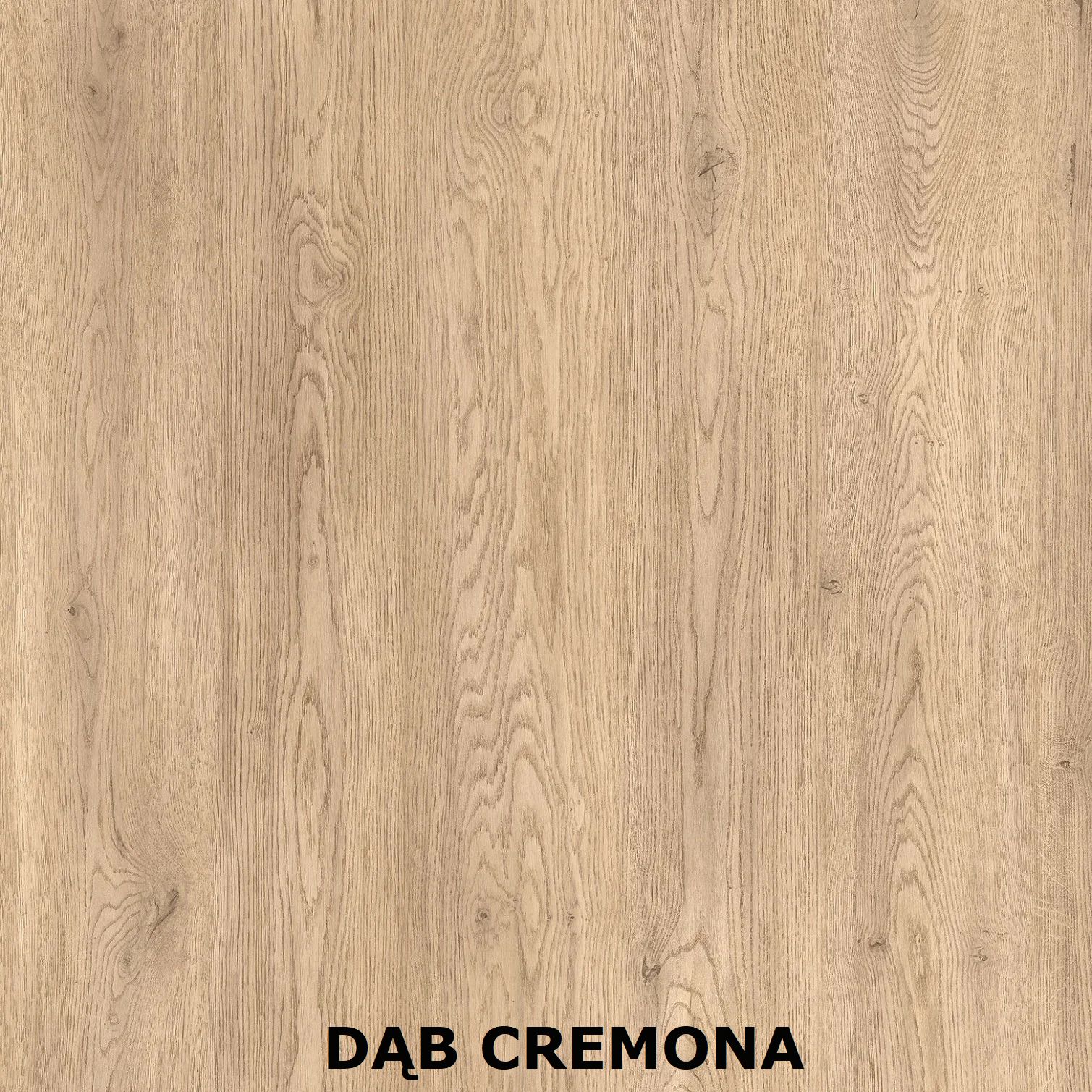 DĄB CREMONA - dekor